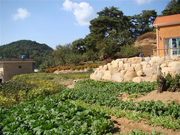 3 창밖으로 싹이 올라오는 밭이 보이도록 집터는 높아졌고 밭이 될 땅은 넓어졌다.