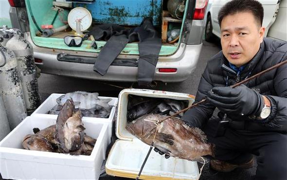 사진이 안보일 때→우측클릭→'사진보기' 클릭. ☞작성: Daum카페: 한국 네티즌본부