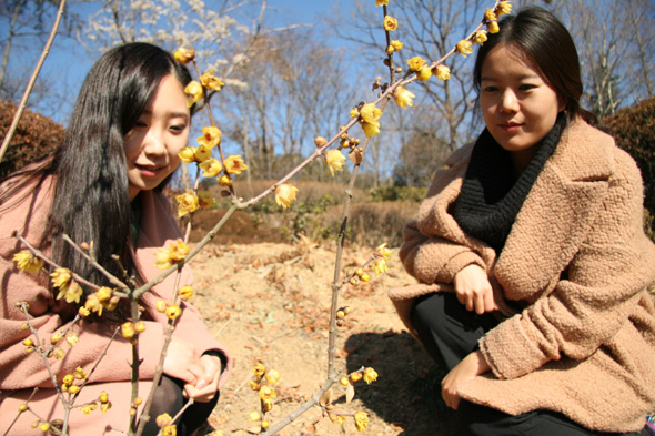 사진이 안보일 때→우측클릭→'사진보기' 클릭. ☞작성: Daum카페: 한국 네티즌본부