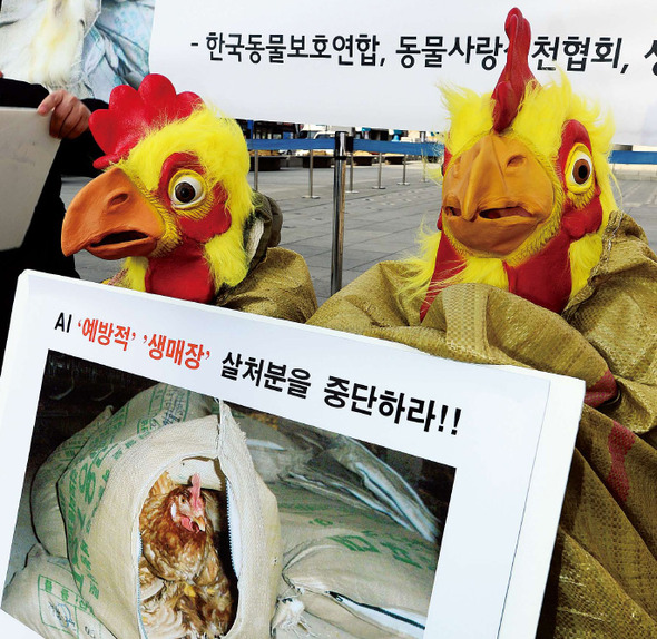 사진이 안보일 때→우측클릭→'사진보기' 클릭, OK. ☞작성: Daum카페: 한국 네티즌본부