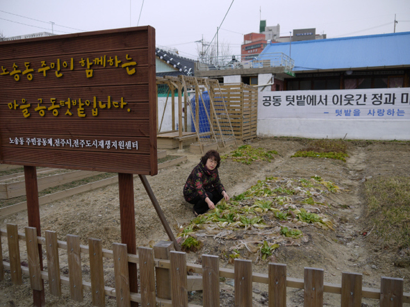주민들이 함께 경작하는 1호 공동텃밭. 전주시 제공. 전주/박임근 기자