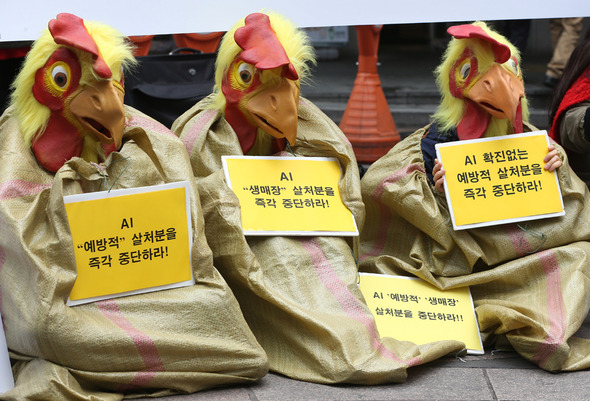 사진이 안보일 때→우측클릭→'사진보기' 클릭, OK. ☞작성: Daum카페: 한국 네티즌본부