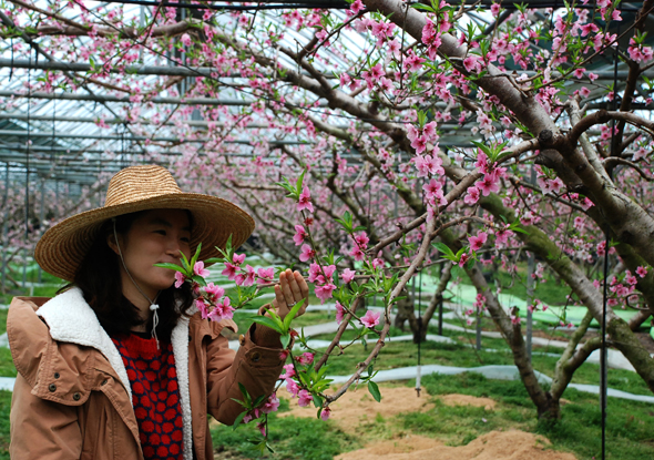 사진이 안보일 때→우측클릭→'사진보기' 클릭, OK. ☞작성: Daum카페: 한국 네티즌본부