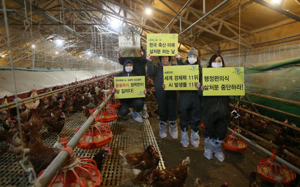 동물자유연대 회원들이 국내 1호 ‘동물 복지농장’인 충북 음성군 대소면 동일농장에서 12일 오전 닭 살처분에 반대하는 내용의 손팻말을 든 채 시위를 벌이고 있다. 음성/신소영 기자 viator@hani.co.kr
