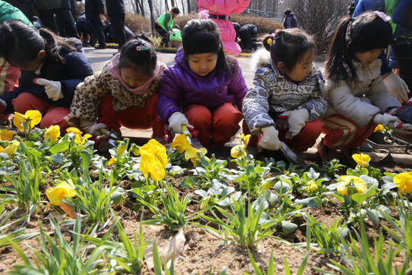 사진이 안보일 때→우측클릭→'사진보기' 클릭, OK. ☞작성: Daum카페: 한국 네티즌본부