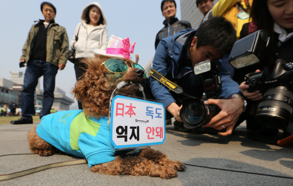 <b>견공의 경고</b> 23일 오후 서울 광화문 광장에서 일본의 독도 영유권 주장을 비판하는 내용의 팻말이 붙은 바구니를 문 견공이 시민들의 눈길을 끌고 있다.  김정효 기자 hyopd@hani.co.kr