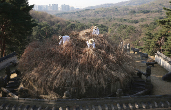 한식인 6일 오전 경기도 구리시 인창동 동구릉 안의 건원릉(조선 태조 이성계의 묘)에서 관리소 직원들이 봉분의 억새를 예초(풀베기)하고 있다. 이성계는 원래 고향인 함경도 영흥에 묻히길 원했으나, 아들인 태종은 고향 땅에서 흙과 억새를 가져와 이 능을 만들었다. 건원릉 예초는 봉분에 자생하는 억새 보호를 위해 1년에 한 차례만 한다. 류우종 기자 wjryu@hani.co.kr