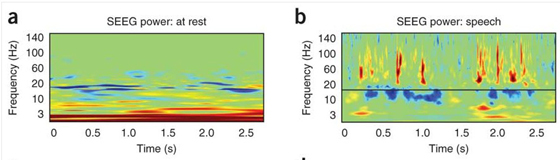 네이처‘ 웹페이지 인용  (http://www.nature.com/neuro/journal/v15/n4/fig_tab/nn.3063_F2.html)