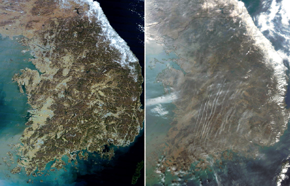 미항공우주국(NASA)이 미세ㆍ초미세먼지 주의보 예비단계가 발령된 2월 23일과 먼지가 걷힌 3월 7일 한반도 상공을 촬영한 위성사진의 모습. 그린피스 한국사무소 제공