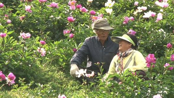 인간극장(한국방송1 오전 7시50분)