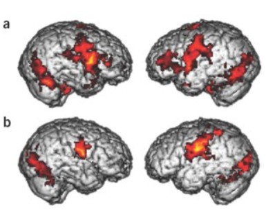 자료출처: http://amasianv.wordpress.com/2012/10/26/david-byrne-explains-the-neuroscience-of-music-and-mirror-neurons-but-skips-the-skepticism/