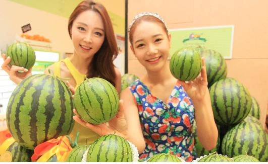 애플수박