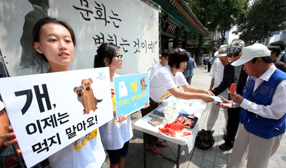 중복인 28일 점심때 동물자유연대 회원들이 서울 종로2가 탑골공원 앞에서 시민들에게 얼음물과 수박을 나눠주며 개고기를 먹지 말자는 캠페인을 벌이고 있다.