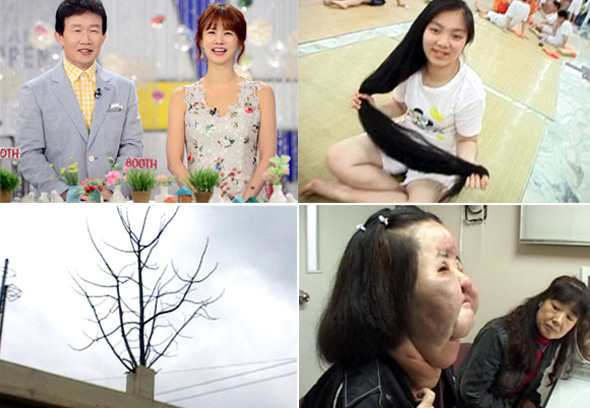 <순간포착 세상에 이런 일이>가 800회를 맞았다. 임성훈·박소현은 16년 동안 진행했고(왼쪽 위), 그동안 긴 머리카락 소녀(오른쪽 위)와 굴뚝 위로 자란 오동나무, 이른바 ‘선풍기 아줌마’ 등의 사연이 전파를 탔다. 에스비에스 제공