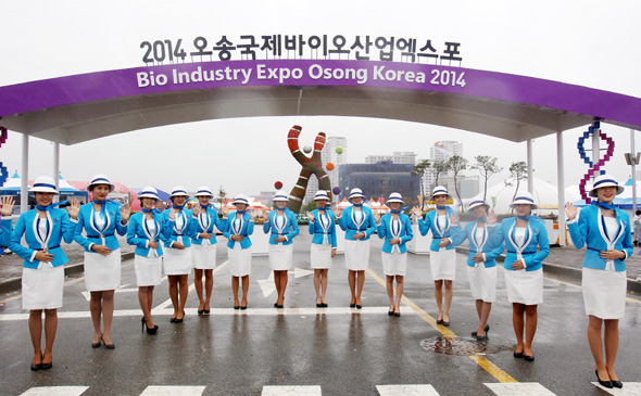 ‘2014 오송 국제 바이오산업엑스포’ 개막을 이틀 앞둔 24일 행사 도우미들이 마지막 준비 작업에 한창이다. 오송바이오엑스포는 ‘생명, 아름다움을 여는 비밀’을 주제로 26일부터 다음달 12일까지 충북 오송생명과학단지에서 열린다. 충북도청 제공/연합뉴스
