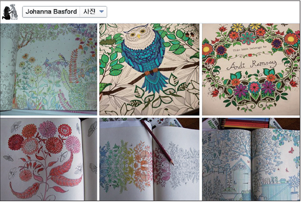 <비밀의 정원>의 작가 조해너 배스포드의 페이스북에는 전세계 사람들이 작업한 ‘작품 사진’이 매일 올라온다. 조해너 배스포드 페이스북 갈무리