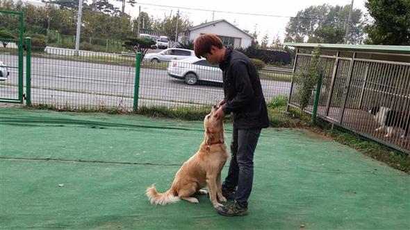 동물들도 훈련소에서 연기 연습을 한다. ‘달봉’이 주인에게 재롱 부리는 장면 등을 연습하고 있다. 남지은 기자