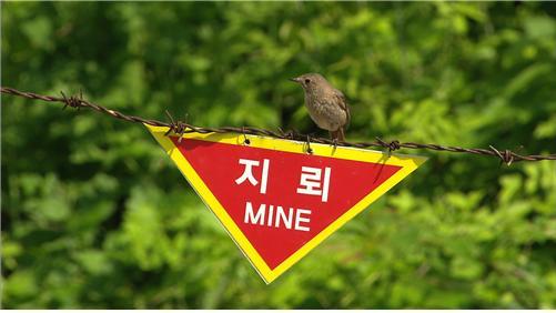 코리언 지오그래픽(한국방송1 밤 10시)