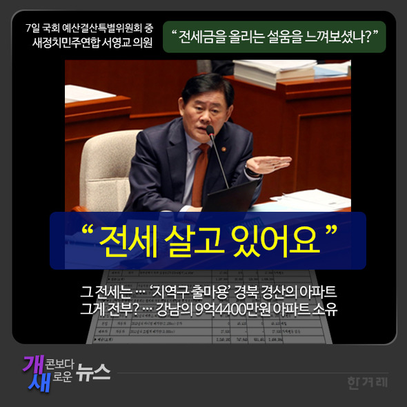 [개새 뉴스]