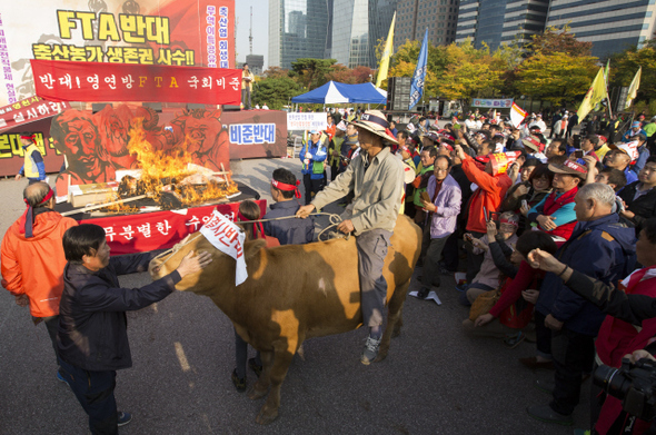 10월23일 서울 영등포구 여의도공원에서 한국낙농육우협회가 주최한 ‘전국 축산인 총궐기대회’에 참석한 축산 농민 3만여명이 FTA 관련 피해 보전 직불제 현실화 등을 요구하고 있다. 김성광 기자 flysg2@hani.co.kr