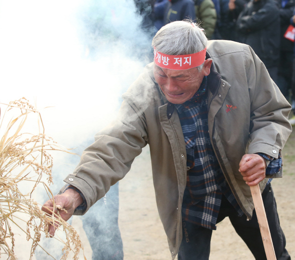 전국농민회총연맹 등 50여개 농민·시민단체로 구성된 ‘식량주권과 먹거리 안전을 위한 범국민운동본부’가 20일 오후 서울광장에서 연 ‘식량주권과 먹거리 안전을 위한 제3차 범국민대회’에서 한 농민이 쌀값 안정과 한-중 자유무역협정(FTA) 중단을 촉구하는 행사 도중 벼 이삭을 매만지며 눈물을 흘리고 있다. 이들은 “정부가 한-중 에프티에이를 ‘밀실 협상’이나 다름없이 진행하고 쌀 시장을 일방적으로 개방하려고 한다”며 “농산물 가격 폭락을 조장하는 한-중 에프티에이를 중단하라”고 촉구했다.  김태형 기자 xogud555@hani.co.kr