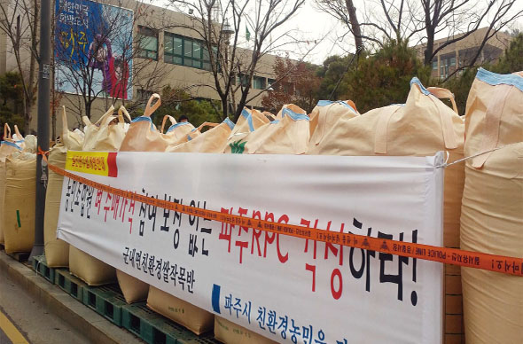 학교급식용 친환경 쌀을 공급하고 있는 경기도 파주지역 농민 80여명이 생산비 보장을 요구하며 27일 파주시청과 북파주농협 앞에 800㎏들이 벼 30가마를 쌓아놓고 농성하고 있다. 파주시친환경농업인연합회 제공
