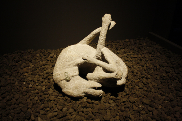 화산 폭발 때 죽은 개의 석고 캐스트.
