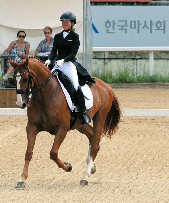 정윤회씨의 딸 정아무개 선수가 지난해 7월 서울경마공원에서 열린 마장마술 경기에 참가하고 있다. 한겨레 자료 사진