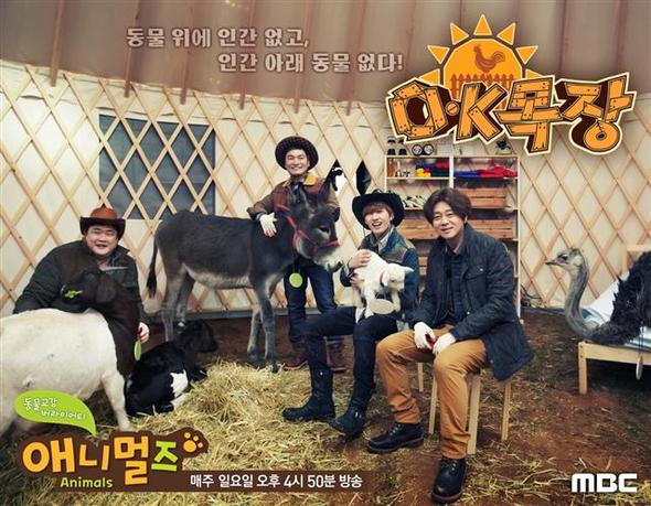 일밤-애니멀즈(문화방송 일 오후 4시50분)