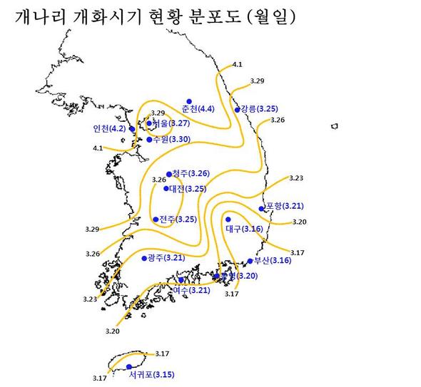 개나리 개화시기 ※ 봄꽃 개화는 기상청이 정한 관측표준목의 대표 나뭇가지에서 한 묶음의 꽃봉오리에 세 송이 이상이 완전히 꽃피었을 때를 기준으로 한다. 기상청 제공
