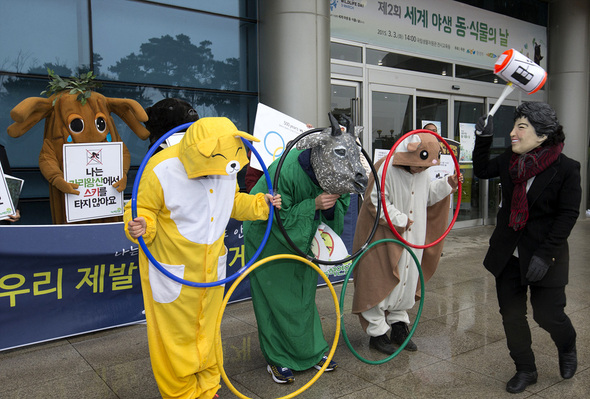 ‘유엔 제정 제2회 세계 야생 동·식물의 날‘인 3일 오후 인천 서구 경서동 종합환경연구단지 안에 있는 국립생물자연관 전시교육동 앞에서 녹색연합 회원들이 야생동식물의 서식처를 위협하는 박근혜 정부 정책 철폐를 주장하며 ‘설악산 가리왕산 야생생물들의 기자회견‘을 열고 있다. 인천/김성광 기자 flysg2@hani.co.kr