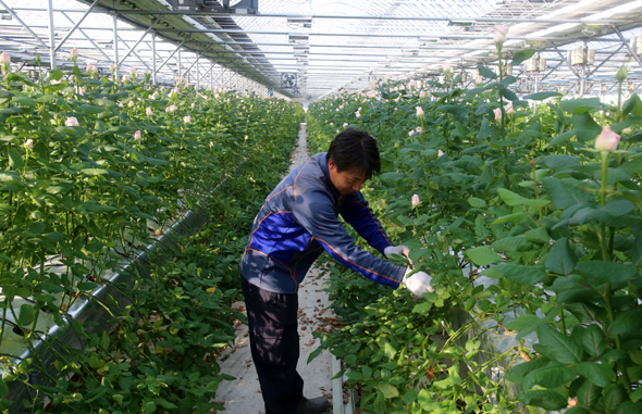 사진이 안보일 때→우측클릭→'사진보기' 클릭, OK. ☞작성: Daum카페: 한국 네티즌본부