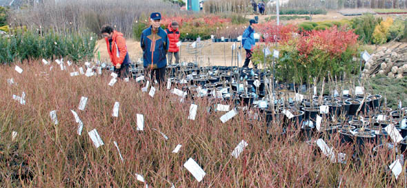 5일 전국 최대 묘목산지인 충북 옥천의 한 묘목농원을 찾은 시민들이 나무를 고르고 있다. 
옥천/연합뉴스