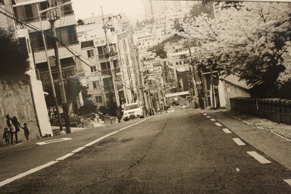 부산의 명물인 산복도로의 봄 풍경을 불안정한 구도로 포착한 ‘부산 동구’.