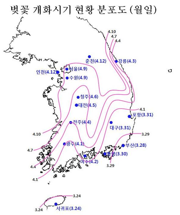 벚꽃개화시기