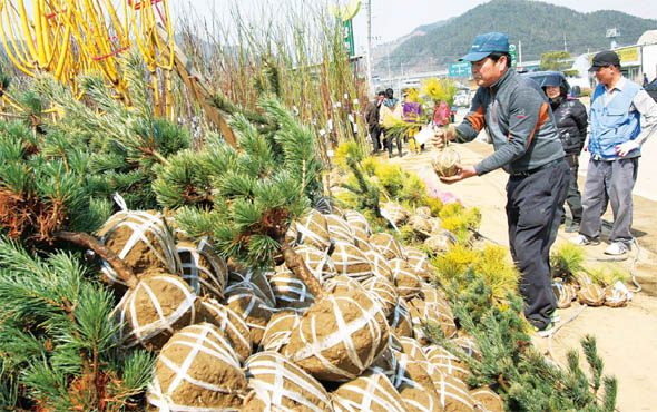 사진이 안보일 때→우측클릭→'사진보기' 클릭, OK. ☞작성: Daum카페: 한국 네티즌본부