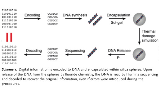 DNA를 이용한 데이터 저장과 해독 과정.onlinelibrary.wiley.com