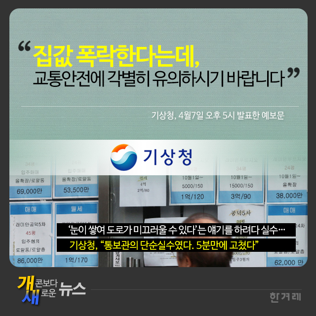 [개새 뉴스]