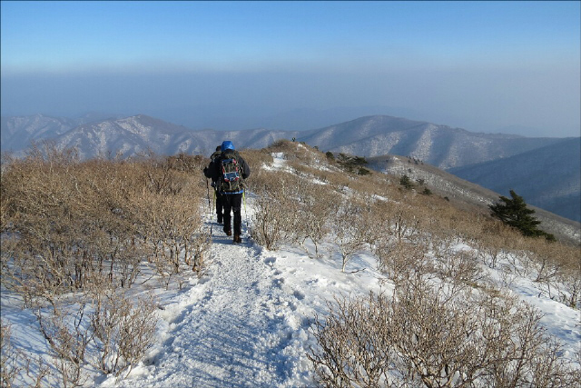 필자 이권우씨가 ‘조건 좋은’ 회사를 때려치운 후배 도형석씨와 함께 나선 전북 무주 덕유산 눈밭 산행길.