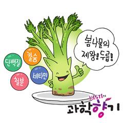 봄 나물의 제왕 두릅