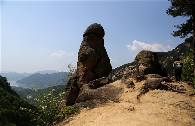 충북 제천 동산 자락의 남근석. 사진 이병학 선임기자