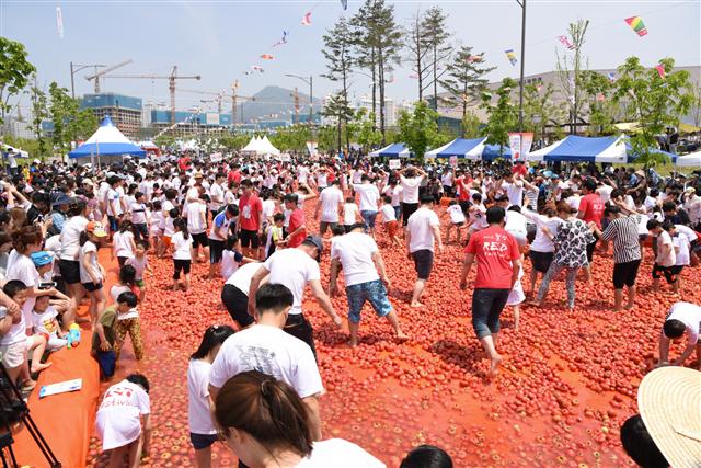 17일 대구 달성군 유가면 국립대구과학관 일대에서 열린 제1회 달성 토마토 축제를 찾은 시민들이 8t가량의 토마토가 든 가로 12ｍ, 세로 30ｍ 풀 안에서 원형 칩을 넣은 토마토 60개를 찾는 ‘금반지를 찾아라’ 이벤트에 참여하며 즐거워 하고 있다. 16일부터 이틀간 열린 이번 행사에선 토마토 던지기, 스파게티 500인분 만들기, 토마토 쌓기 등 다양한 체험행사가 열렸다.   대구/연합뉴스