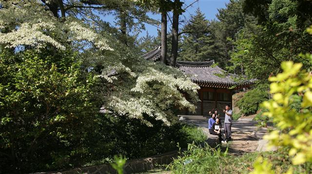 충남 태안 천리포수목원의 미공개 정원인 목련원 ‘밀러의 산책길’에서 지난 3일 최광율 교육팀장(오른쪽 첫째)이 회원들과 아카데미 프로그램인 미공개 정원 견학 일정을 점검하고 있다.