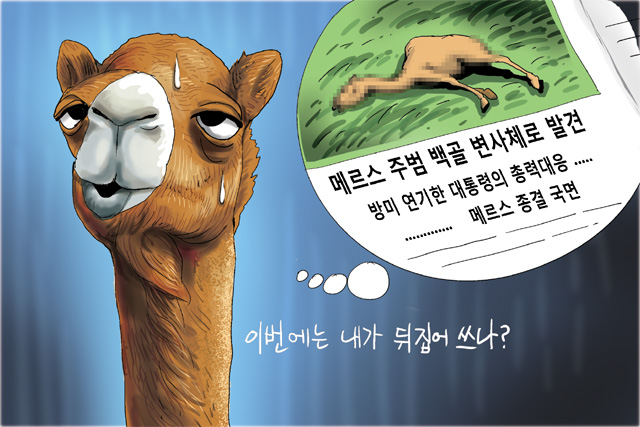 6월 11일 한겨레 그림판
