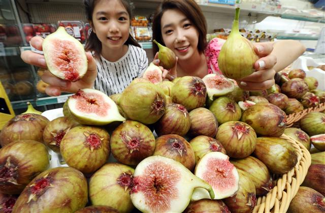 롯데마트가 23일 오전 서울 성동구 롯데마트 행당역점에서 영암, 고령에서 수확한 무화과를 선보이고 있다.  연합뉴스