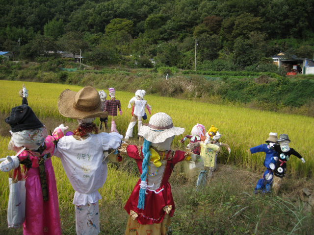 지난해 허수아비 축제 때 울산 대곡박물관 근처 마을 들녘에 세워진 허수아비들. 글·사진 신동명 기자 <A href="mailto:tms13@hani.co.kr">tms13@hani.co.kr</A> 