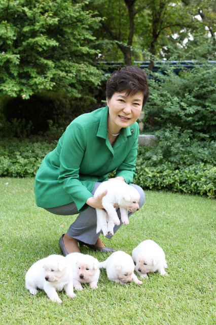 박근혜 대통령이 청와대 관저에서 키우는 진돗개 희망이와 새롬이에게서 태어난 강아지 5마리의 이름을 평화, 통일, 백두, 금강, 한라로 정했다고 20일 자신의 페이스북을 통해 밝혔다. 박 대통령은 페이스북에 ‘희망이 새롬이의 5마리 강아지들은 이젠 눈도 뜨고 어미 품에서 행복하고 건강하게 잘 지내고 있습니다’, ‘그동안 여러분께서 좋은 이름들을 많이 보내주셨는데 많은 생각 끝에 장석원님께서 지어주신 평화, 통일, 금강, 한라, 백두로 정했습니다’ 라고 적었다. 박근혜 대통령 페이스북 갈무리