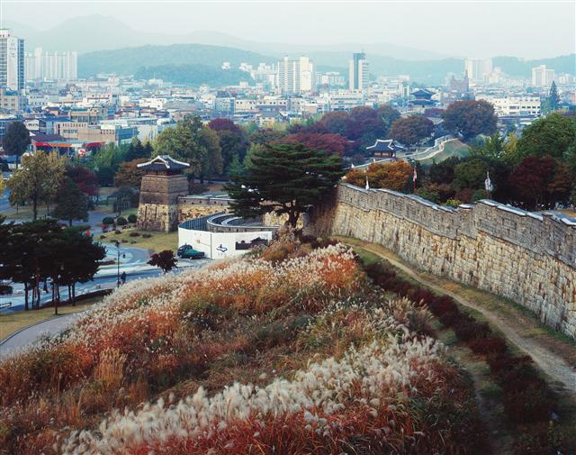 [타인의 시선]