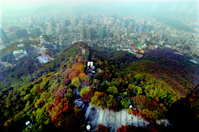 전국적으로 가을 단풍이 절정으로 치닫고 있는 가운데 18일 오후 서울 남산 엔(N)서울타워에서 내려다본 남산 일대의 나무들이 붉고 노랗게 물들어가고 있다. 김태형 기자 xogud555@hani.co.kr