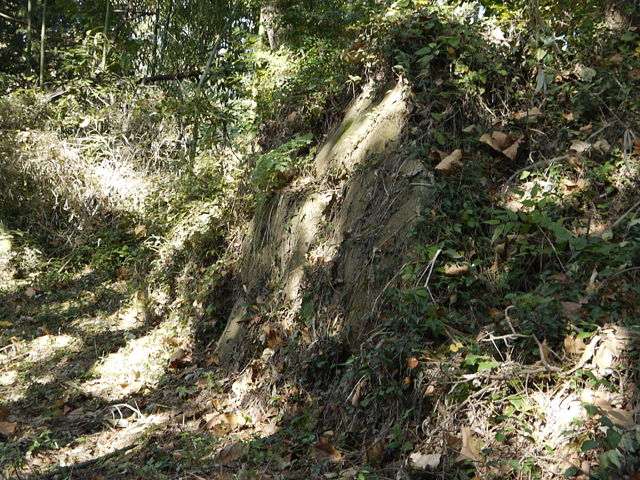 부산 강서구 죽림동 823 일대에 있는 죽도왜성의 남아 있는 성벽. 죽도왜성은 부산시 기념물 제47호로 지정돼 있다. 김영동 기자